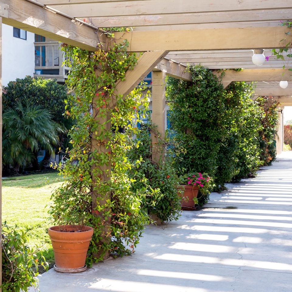 Ivy Park at San Juan Capistrano