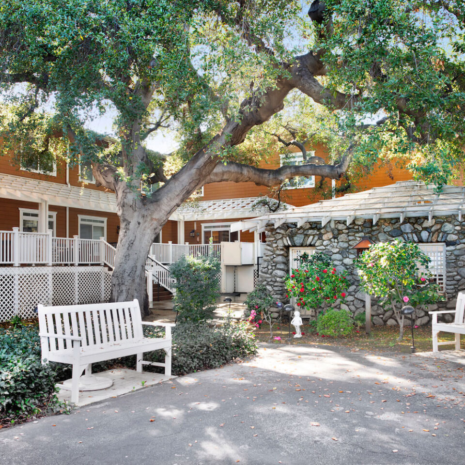 Ivy Park at Claremont - Image 10