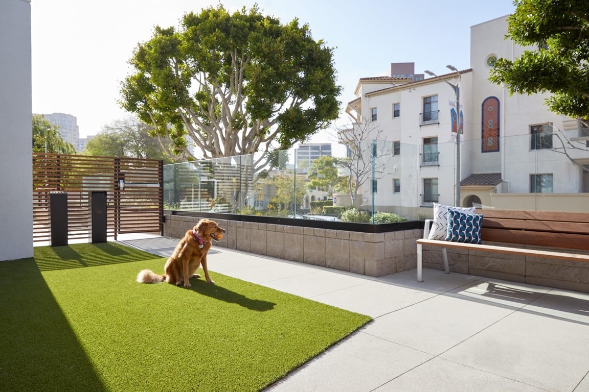 The Watermark at Westwood Village - Image 3