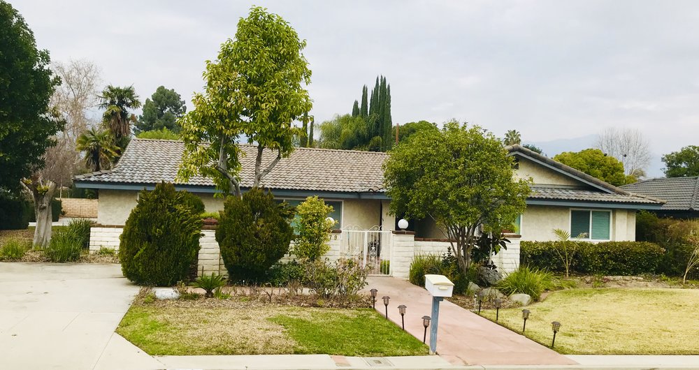Rose Valley Arcadia