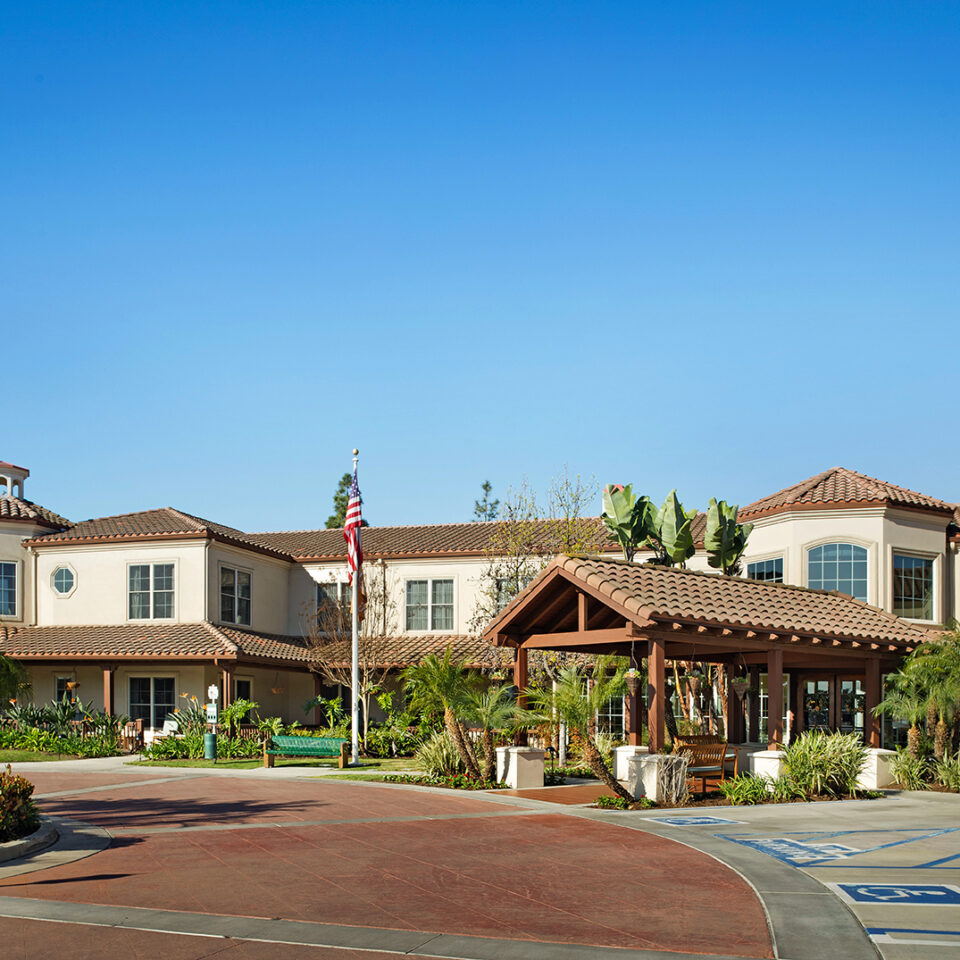 Ivy Park at La Palma - Image 5