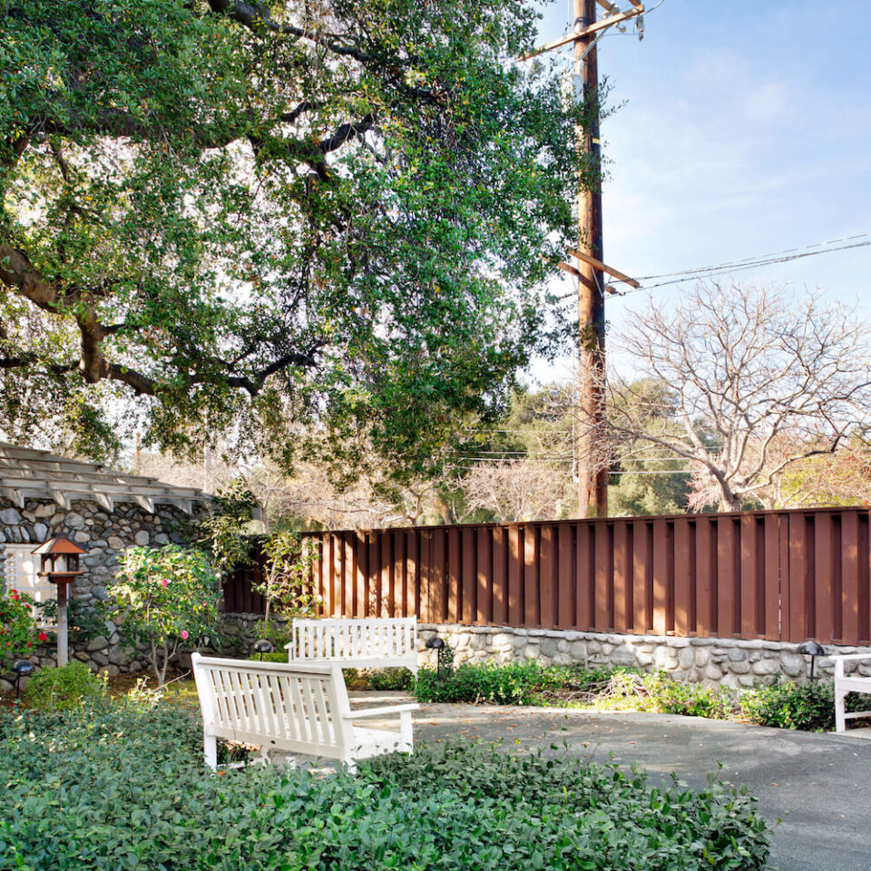 Ivy Park at Claremont - Image 9