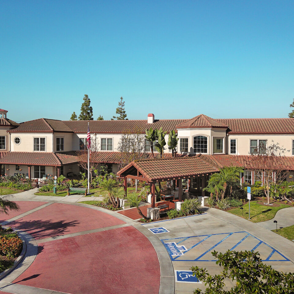 Ivy Park at La Palma - Image 3