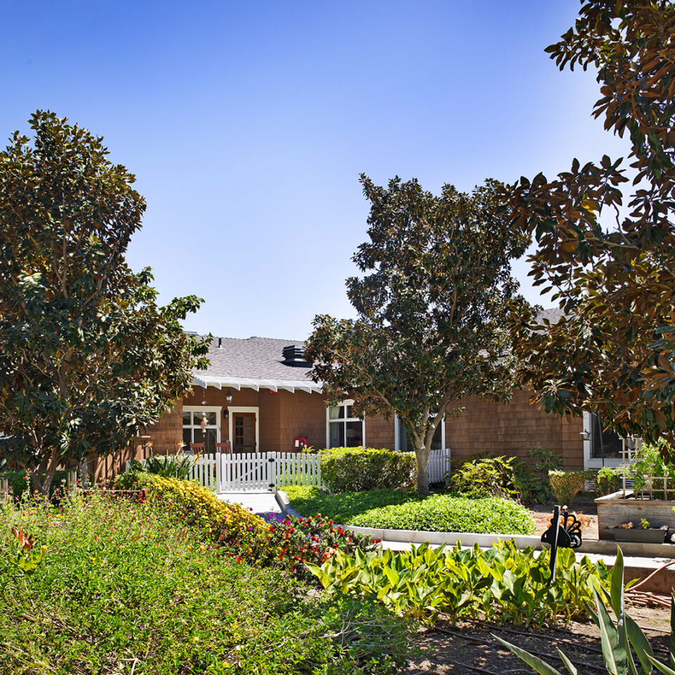 Ivy Park at Tustin - Image 4