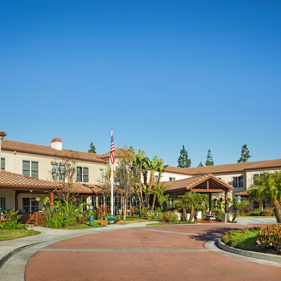 Ivy Park at La Palma - Image 4